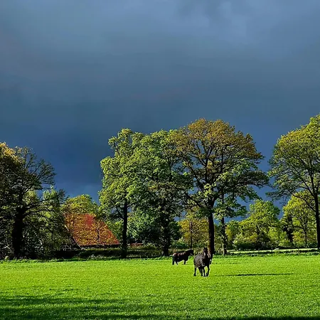 Logeerderij Het Landleven * Vragender